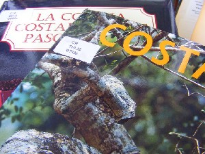 biblioteca 059 copy.jpg